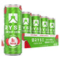 RYSE | Energy + Protein Drink / 12 pza - Strawberry Watermelon