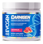 EVOGEN | L-Carnitina Carnigen 50 Serv - Watermelon